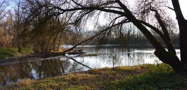 confluence Artière allier Martres d'artière